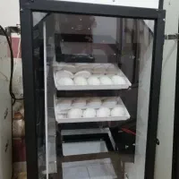 جوجه کشی 210 تایی آژاکس