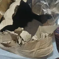 چای کله مورچه ساده وهل دار به قیمت عمده