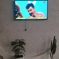 تلوزیون تی سی ال