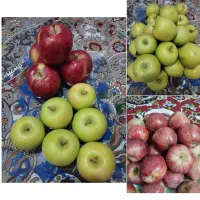 سیب درجه1و2