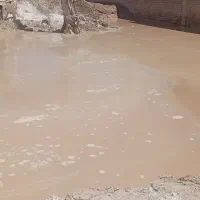 شفته وگودبرداری