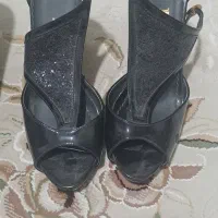 دو جفت کفش مجلسی