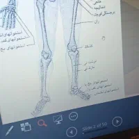 لاکچری ها