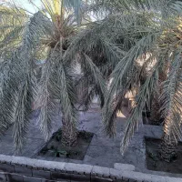 سوئیت 40متری مستقل شهرک رزمندگان