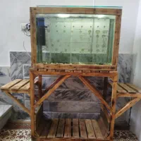 اکواریم باماهی