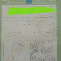 فروش فوری زمین ۱۰۰۰ متری رامسر چالکرود قیمت مناسب