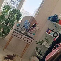 اینه دراور ارایشی و کتابخونه