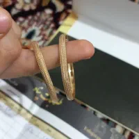 طلای گمشده