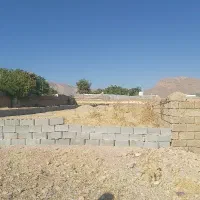 زمین-باغی