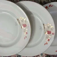 پلوخوری