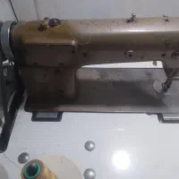 راسته ژوکی سلامت