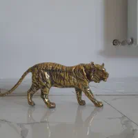ببر برنز