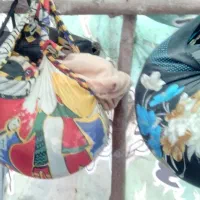 یسری لباس کاملا تمیز وسالم