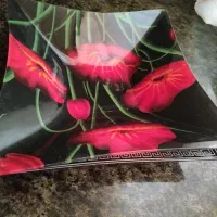 ظروف پذیرایی