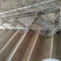 راویز