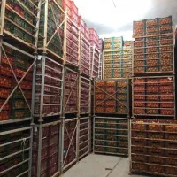 تکنسین سردخانه -برق کار