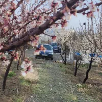 منزل-اجاره-ای