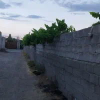 فروش-باغ-انگورو