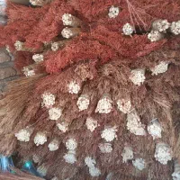 جارو دستی