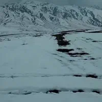 اجاره-سوییت