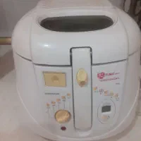سرخکن روغنی