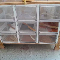 جا ادویه