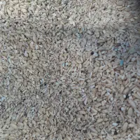 خورده گندم