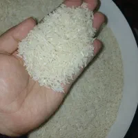 برنج طارم هاشمی چند روز پیش از کارخونه آمد بیرون