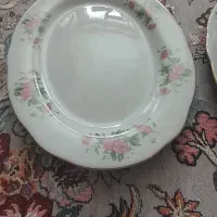 ظروف چینی