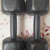 دمبل سه و نیم کیلویی