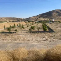 فروش باغ چهارساله