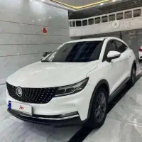 دیگنیتی پرایم درجه ۱..خوش رخ تومارون..