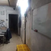 اجاره کارگاه پرورش قارچ|اجارهٔ دفتر صنعتی، کشاورزی، تجاری|گلبهار, |دیوار