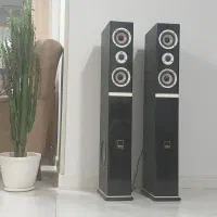دو عدد باند