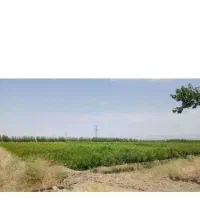 زمین حاشیه اصلی جاده گلمکان
