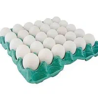 فروش مرغداری تخم گذار