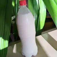 دوغ،کره،شیرمحلی