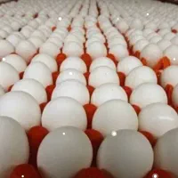 تخم مرغ عمده کارتونی
