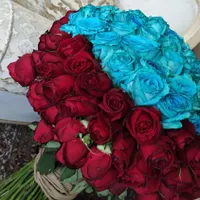 فروش دسته گل|گل و گیاه طبیعی|تهران, درب دوم|دیوار
