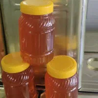 عسل طبیعی