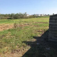زمین /باغی/۲۵۰ متری