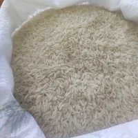 برنج ایرانی ۱۰۰%ارگانیک بدون استفاده از کود وسم