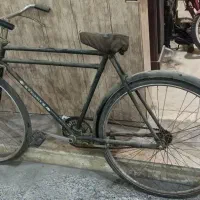 دوچرخه کلکسیونی فونیکس