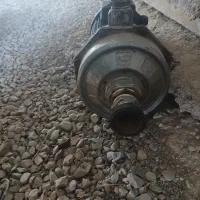 شادگان