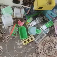 قفس و لوازم پرنده