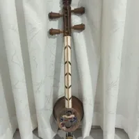 ساز حرفه ای