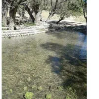 باغ ۴۶۰۰ متری در روستای گردشگری و بکر  درختک