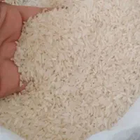 برنج علی کاظمی