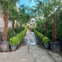 طراحی اجرا فضایی سبز باغ ویلا باغچه مهندس غلامی