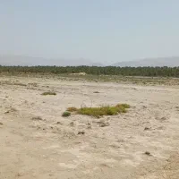 فروش زمین کشاورزی سربست